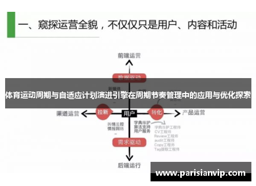 体育运动周期与自适应计划演进引擎在周期节奏管理中的应用与优化探索